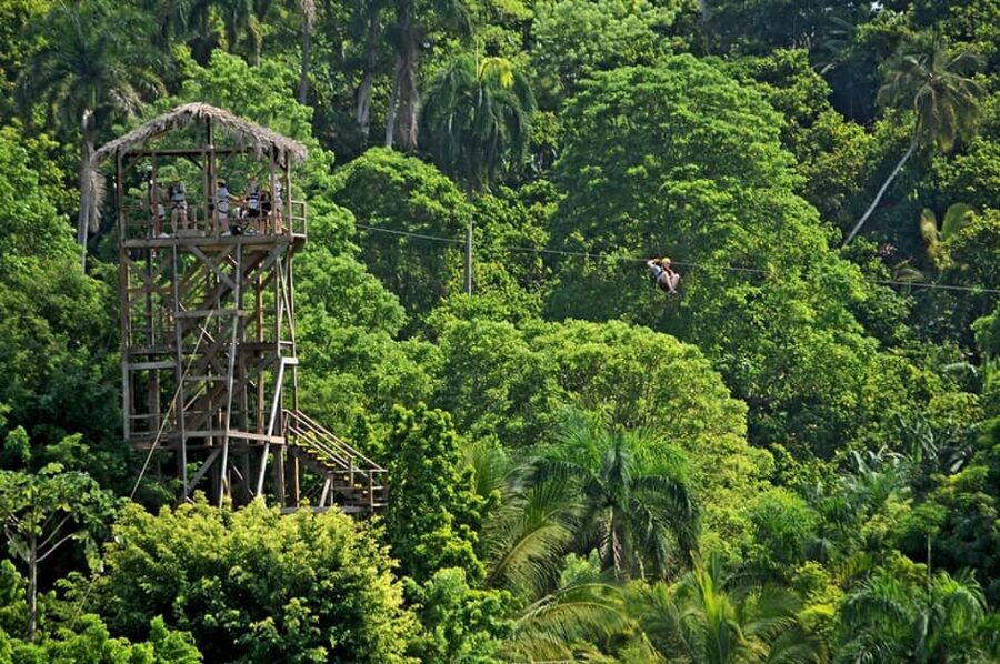 Punta Cana: Zip-Lining 12 Cables - Comfort and Fitness Tips That Actually Matter