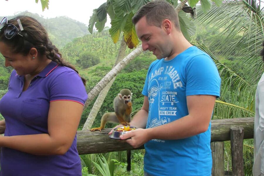 Punta Cana: Ziplines Adventures & Monkeyland Entry - Food, water, and keeping your energy steady for the 8 to 9 hours