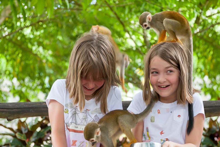 Punta Cana: Ziplines Adventures & Monkeyland Entry - The Monkeyland part: squirrel monkeys that act like they own the place