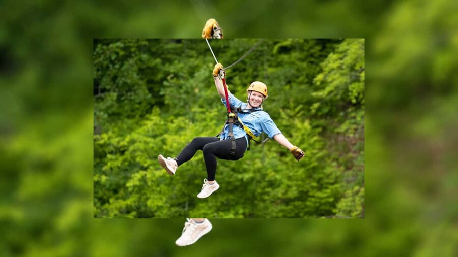 Rainforest Ziplining Adventure - Key highlights you will actually care about