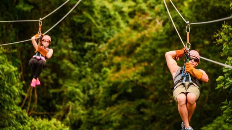 Rainforest Ziplining Adventure - Side-by-side ziplining on 8 cables