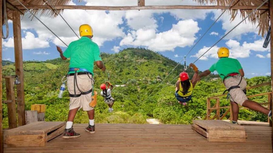 Rainforest Ziplining Adventure - What you’ll see: rainforest canopy, native plants, and moving wildlife chances
