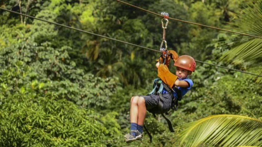 Rainforest Ziplining Adventure - The 4-hour flow, and why it matters for comfort