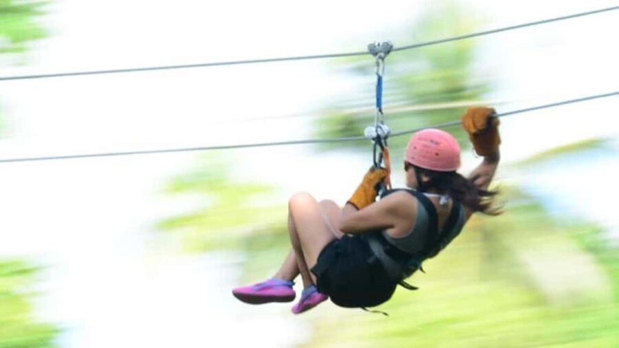 Rainforest Ziplining Adventure - Price and value: is $80 per person worth it?