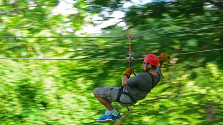 Rainforest Ziplining Adventure - Who this zipline adventure is best for