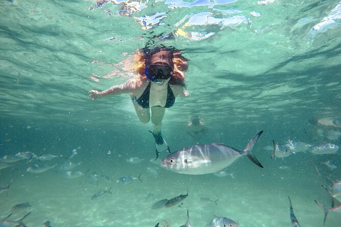 Reef Explorer Half Day Trip - Key Highlights You Will Actually Care About