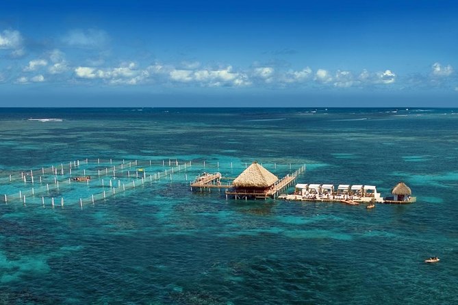 Reef Explorer Half Day Trip - Bávaro Beach Reef Time, With a Real Schedule Behind It