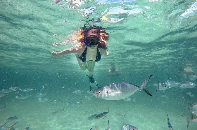 Reef Explorer Half Day Trip - Price and Value: Is $149 Fair for What You Get?