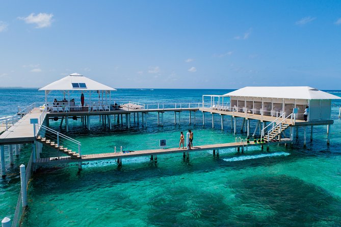 Reef Explorer Multiple activity Excursion from Punta Cana by Marinarium - Key things to know before you go