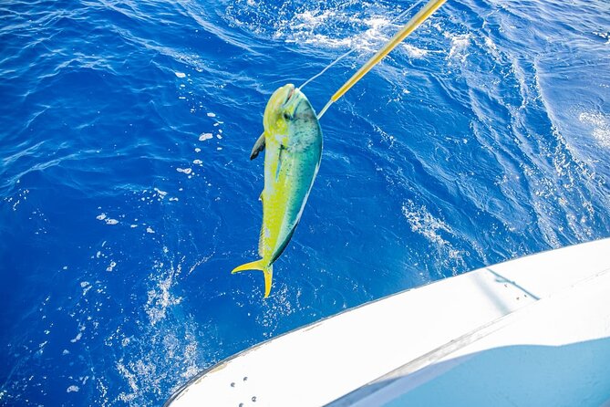 Reel Adventures: A Fin-tastic Fishing Tour - Pickup and Small-Group Size, Where Comfort Meets Risk