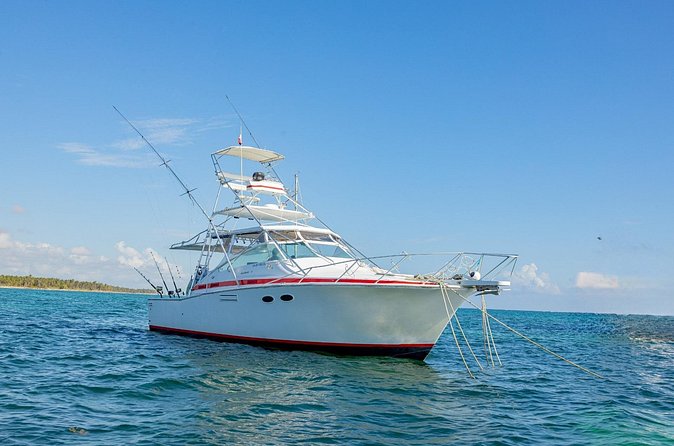 Reel Adventures: A Fin-tastic Fishing Tour - Price and Value, Is $129 Worth a Four-Hour Fishing Shot?