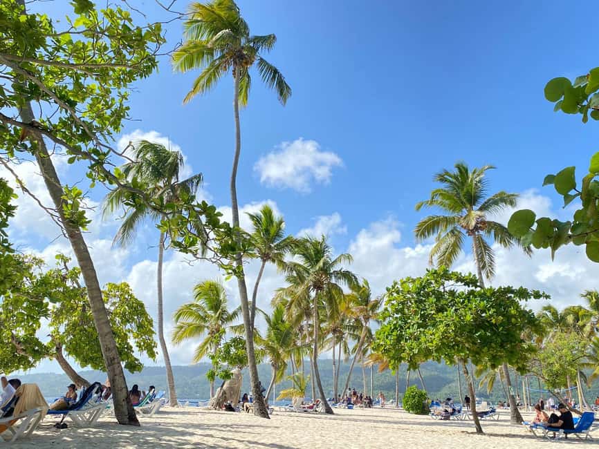 Rincon Beach and Cayo Levantado from Punta Cana - The Big Idea: Why This Trip Works (And When It Might Not)