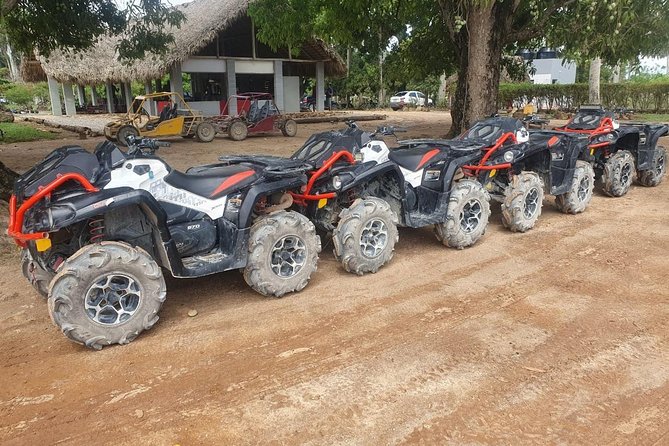 River Cave and Macao Beach Half-Day Quad Bike Adventure - Cocoa, coffee, and snuff: the Dominican house stop