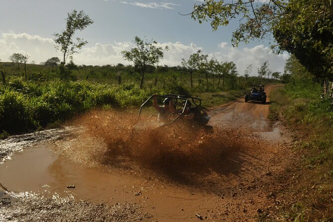 Rivers, Jungle with Buggies Adventure in Bayahibe - Stop 1 in La Romana: conucos and how farming shows up on the tour