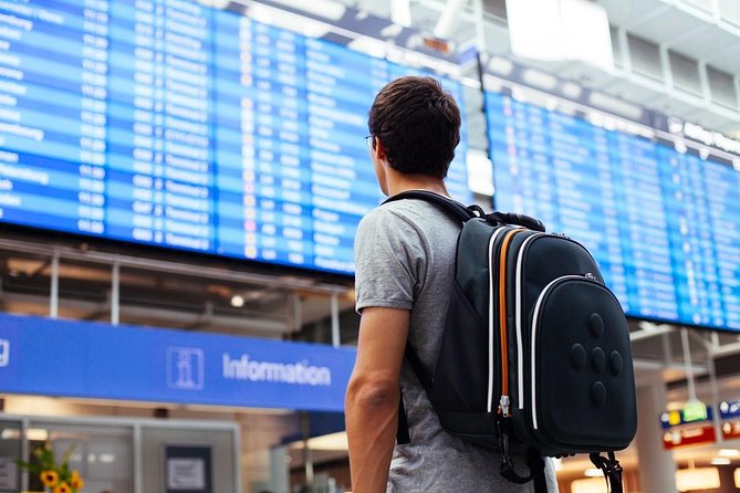 Roundtrip Private Transfer from Punta Cana Airport (PUJ) - Who This Private Transfer Suits Best in Punta Cana