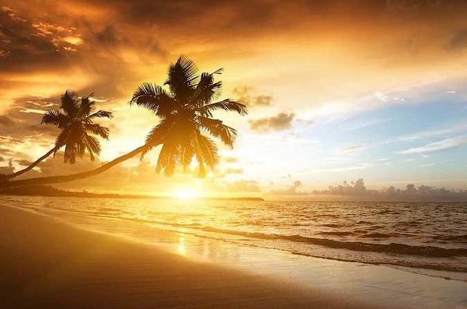 Royalton Bavaro- Round Trip Shuttle - Punta Cana Airport - Round-Trip Coverage and Choosing Pickup Times