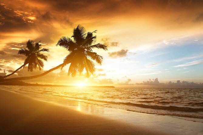Royalton Bavaro- Round Trip Shuttle - Punta Cana Airport - What Is Not Included, so you can plan meals and extras