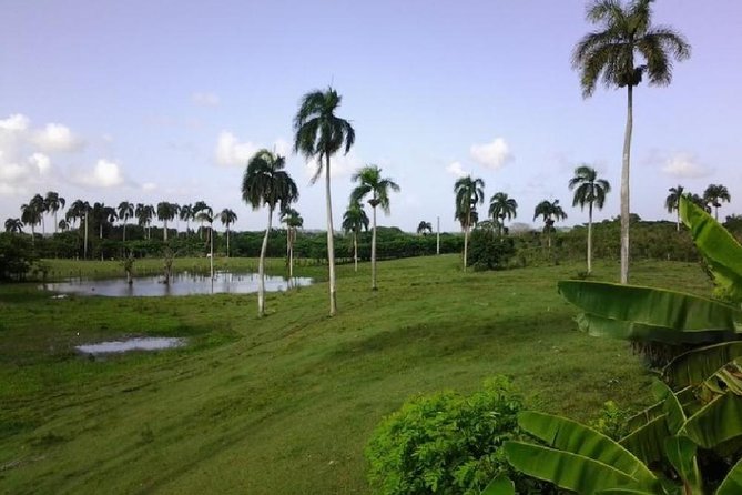 Safari Adventure - Full Day - From Punta Cana - A school visit that’s more than a photo stop
