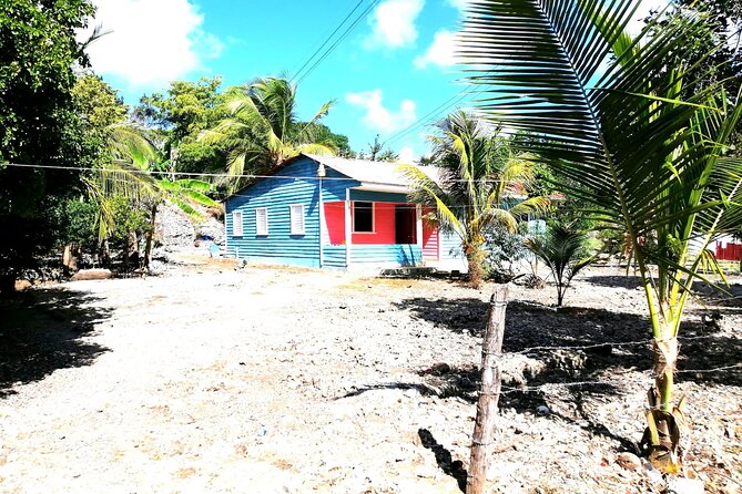 Safari discovery to Boca De Yuma – Nature, Discovery And History Of A Population - Key moments you will actually care about