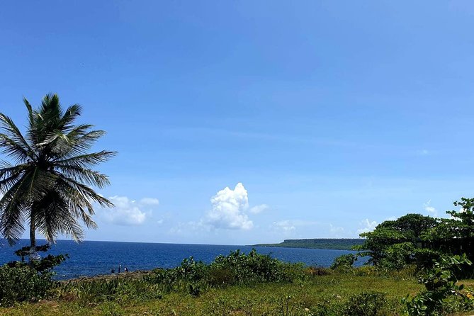 Safari discovery to Boca De Yuma – Nature, Discovery And History Of A Population - Lunch with seafood, soda, and alcohol: the included value check
