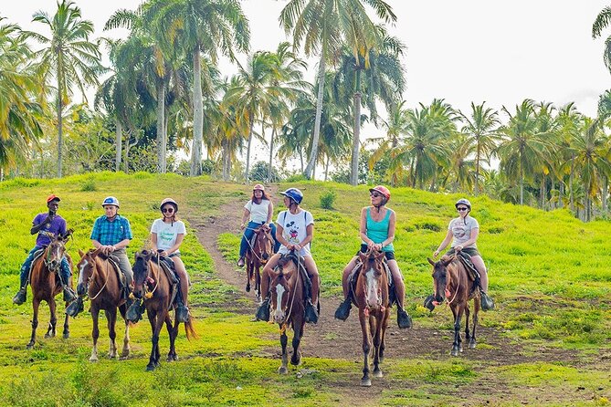 Safari Full Day Outdoor Adventure from Punta Cana - Higuey Town Stops: Souvenirs, Handmade Cigars, and a Typical House