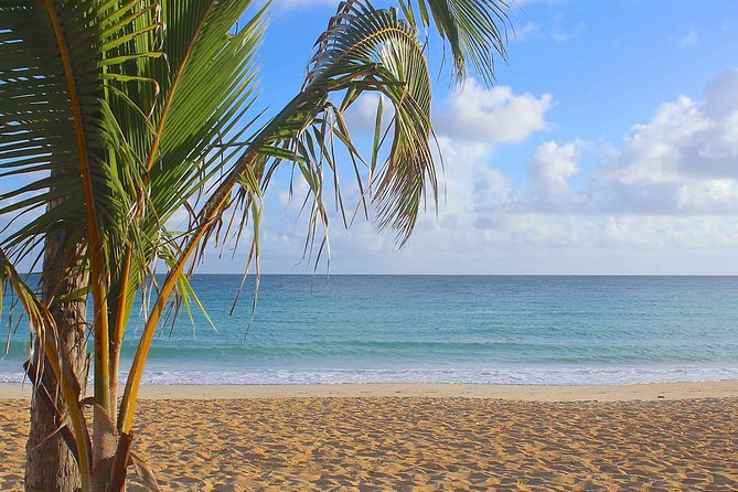 Safari Full Day VIP Experience - Macao Beach: Your Quick Swim, Photos, and Reset