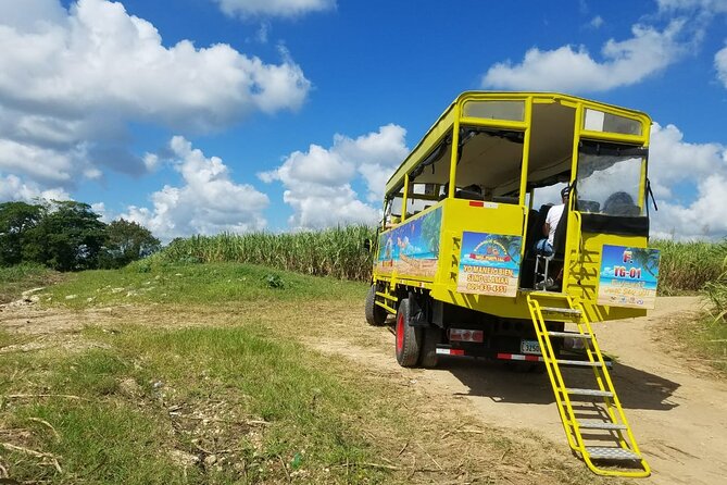 Safari Half Day Experience - Plantation-style learning: coffee, cocoa, and the real work behind flavors