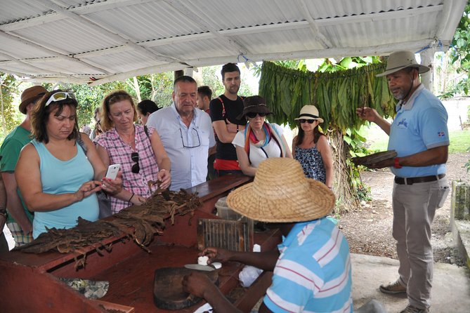 Safari Supreme Full Day Outdoor Adventure Punta Cana - Why this safari day feels more Punta Cana than the usual bus ride