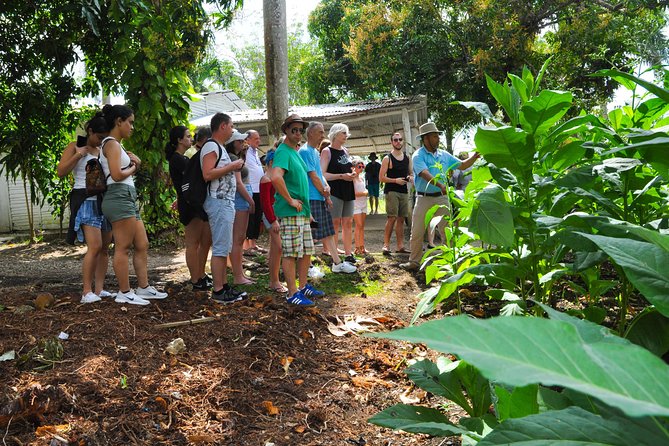 Safari Supreme Full Day Outdoor Adventure Punta Cana - Macao beach: boogie boarding plus real downtime