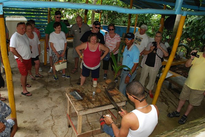 Safari Tour from Punta Cana - Lunch, Drinks, and the Small-Group Pace (Max 30 People)