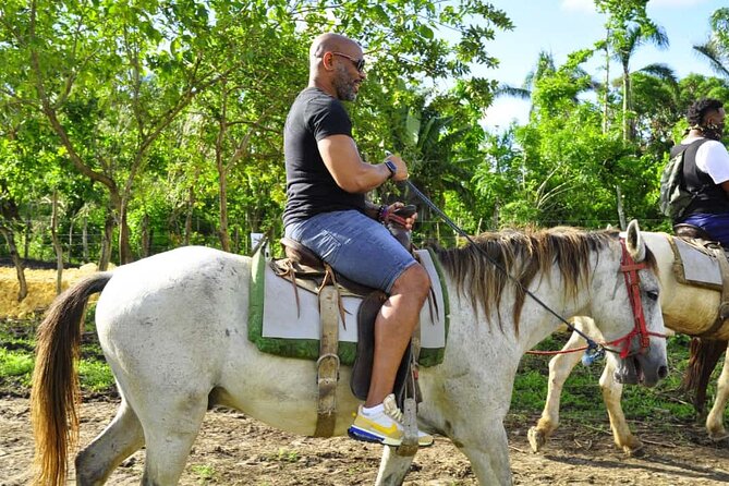 Safari Tour in Punta Cana todo el dia una Aventura inolvidable - Basilica Cathedral of Our Lady of Altagracia in Higuey: A Meaningful Hour