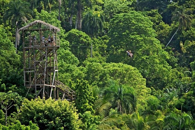 Safari Tour in Punta Cana todo el dia una Aventura inolvidable - Higuey Public Market: What You’ll Learn by Looking Around