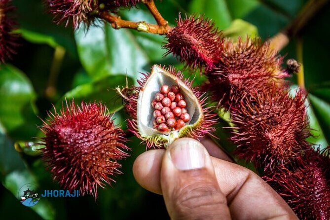 Safari tour with Jhoraji : mountain rivers and local market - Higüey Basilica and the local market: where everyday life shows up