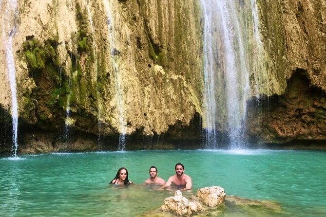 Samana+Baracardi Island Tour And Lemon Jump From PUJ - Humpback whale watching on this Samana route