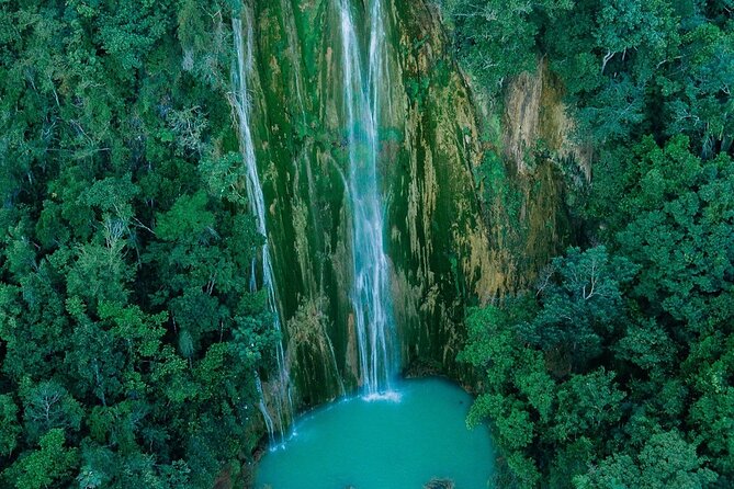 Samana + Cayo Levantado + Horseback Riding from Punta Cana with Lunch - Horseback riding past coffee and cocoa plantations