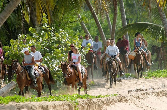 Samana + Cayo Levantado + Horseback Riding from Punta Cana with Lunch - Price and value: why $115 can be a good deal here