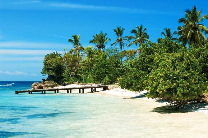 Samana + Cayo Levantado + Horseback Riding from Punta Cana with Lunch - Logistics that matter: mobile ticket and the pickup reality