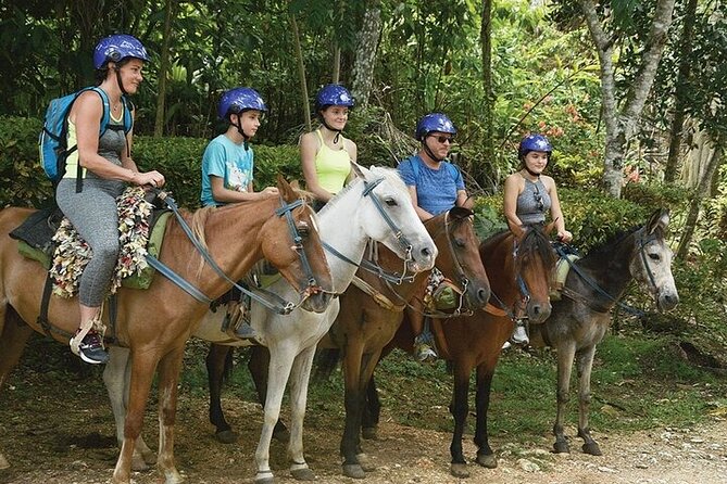 Samaná El Limón Waterfall and Isla Cayo Levantado from Punta Cana - The Catamaran Ride to Samaná: What It Includes, and Why It Matters