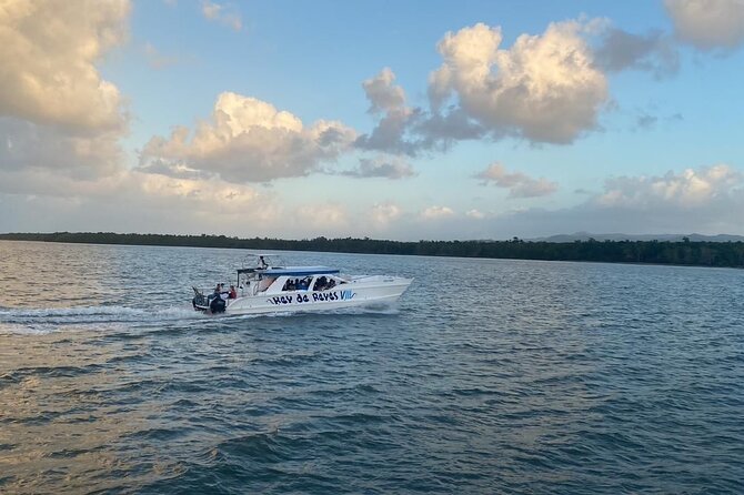 Samana from Punta Cana - Full Day - Price and Value: Is $120 Worth It?