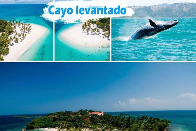 Samana Full Day -baracardi island, horses, lemon waterfall - Key Highlights You Should Know Before You Go