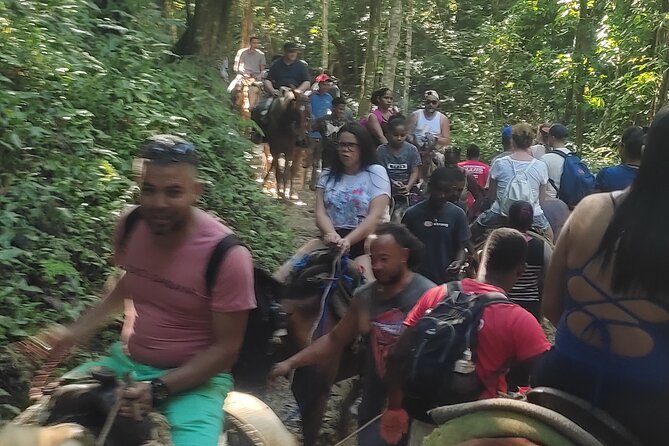 Samana Full Day Waterfall, Safari and Beach - Beach time and humpback whale chances, with real-world sea conditions