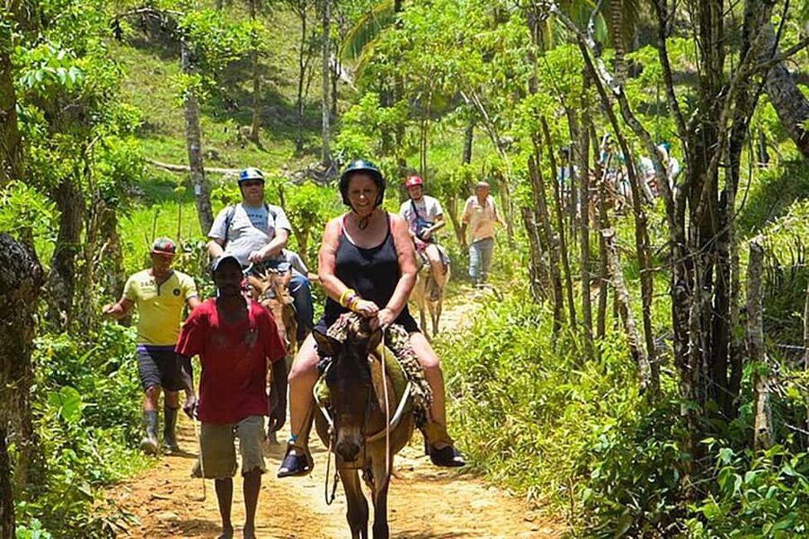 Samaná Whales Full Day, Cayo Levantado, Limón Waterfall - The Punta Cana to Samana Grind (And How to Make It Less Painful)