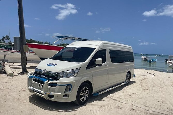Santo Domingo Airport and Paradisus Grand Cana Private Transfer - The pickup flow: what you’ll actually do at the airport
