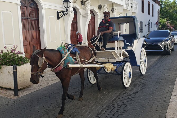 Santo Domingo City Tours Full Day From Punta Cana - Ciudad Colonial (Zone Colonial) and the Alcazar mansion stop