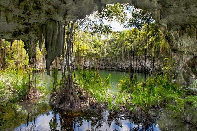 Santo Domingo Tour From Punta Cana - Zona Colonial, Los Tres Ojos - Guides, groups, and language: what professionalism looks like on this route