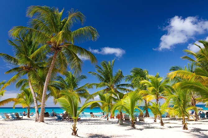Saona Catamaran Cruise with Lunch and Natural Swimming Pool - Key things that make this Saona cruise worth your time