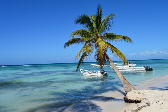 Saona Catamaran Cruise with Lunch and Natural Swimming Pool - Bayahibe port and the catamaran start: music, drinks, and first sea views