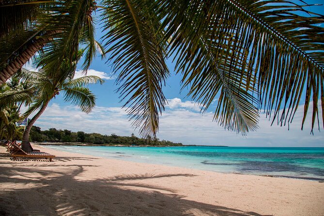 Saona Catamaran Cruise with Lunch and Natural Swimming Pool - Beach time at Saona: sand, crowd level, and the real “value” of the stop