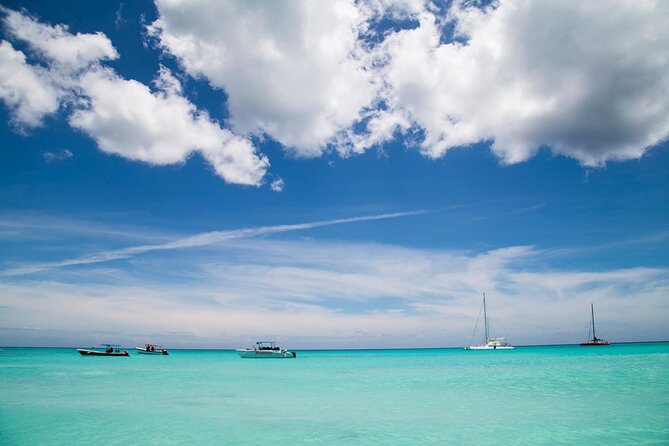 Saona Catamaran Cruise with Lunch and Natural Swimming Pool - Price value at about $75: what you really get for your money