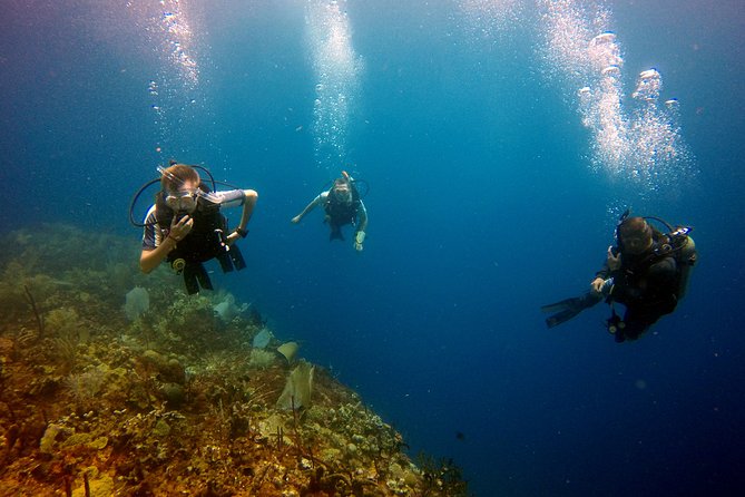 Saona Diving - Bayahibe Meets Saona for a reef swim that actually feels different